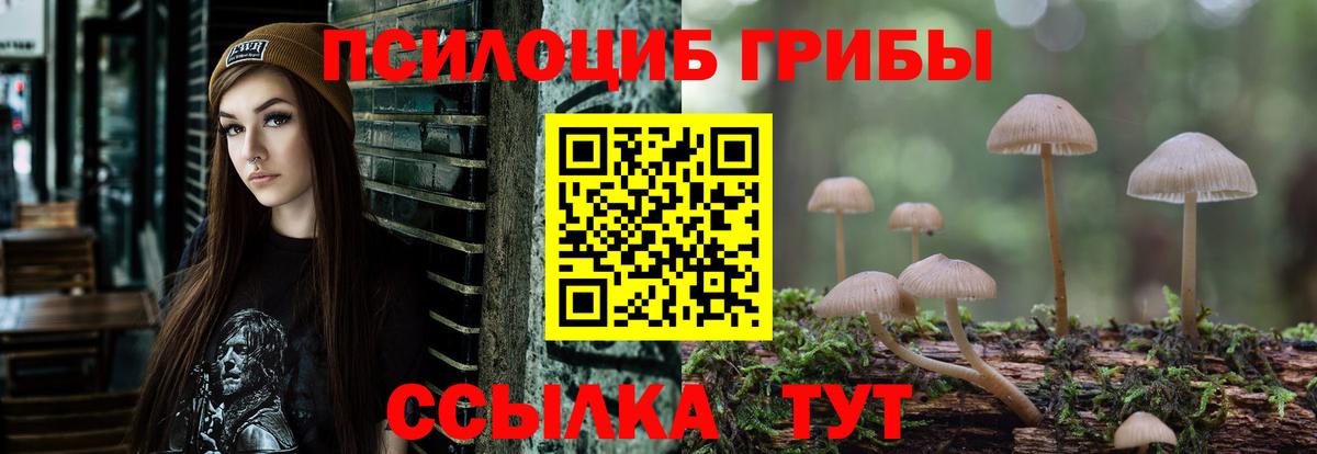 Псилоцибиновые грибы Magic Shrooms  Вход с VPN  Карпинск  Псилоцибиновые грибы Cubensis 